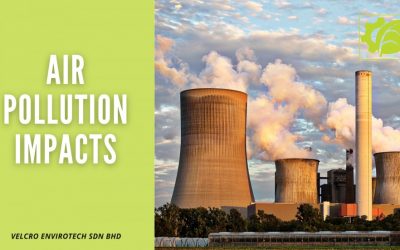 Air Pollution Impacts on Environment